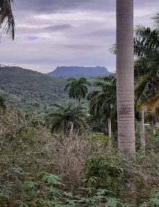 El Yunque