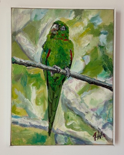 Artwork 36: Cuban Parakeet by Abel Lobaina Arias